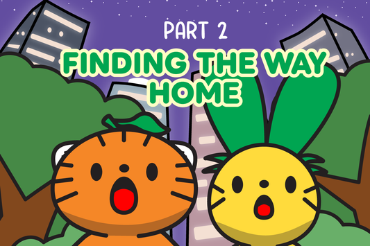 Finding The Way Home - Part 2